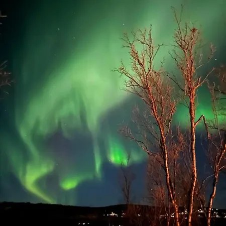 Villaer Olderfjord *