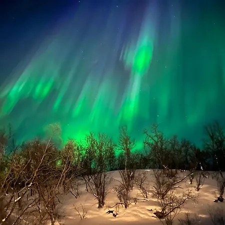 别墅 Olderfjord Russenes